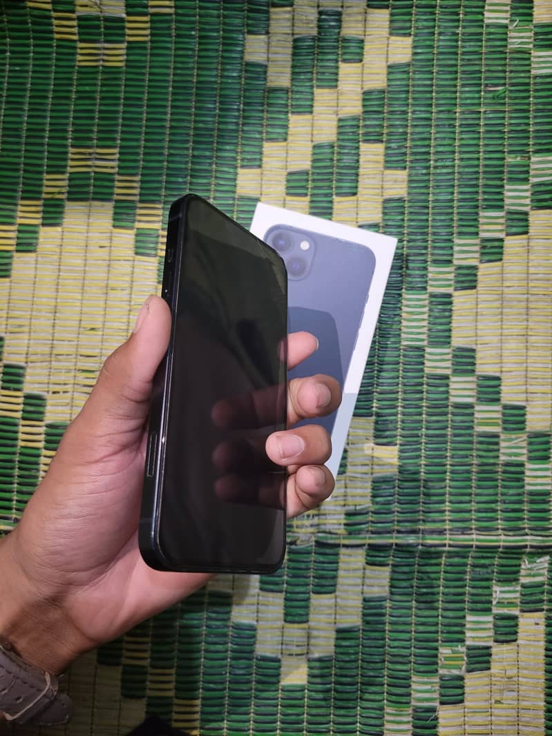 Apple iPhone 13 0
