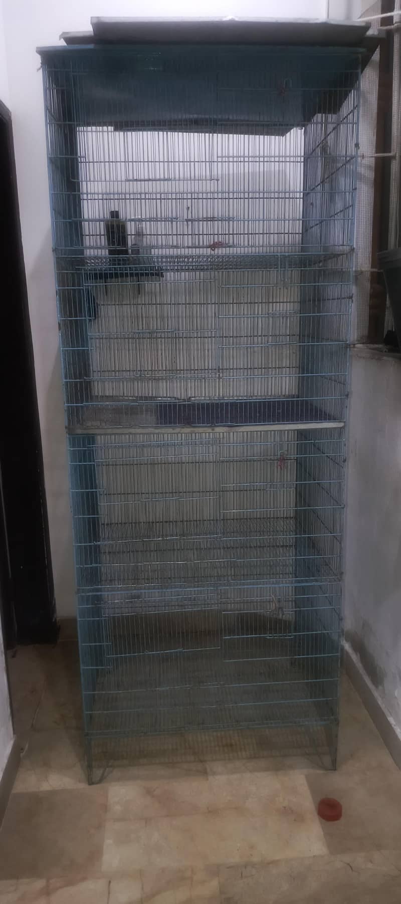 4 portion cage Available 0