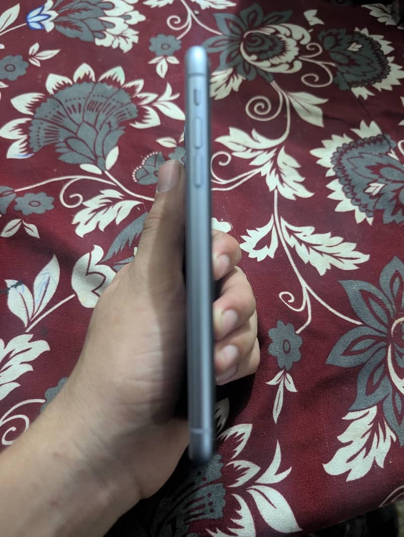Apple iPhone 11 2
