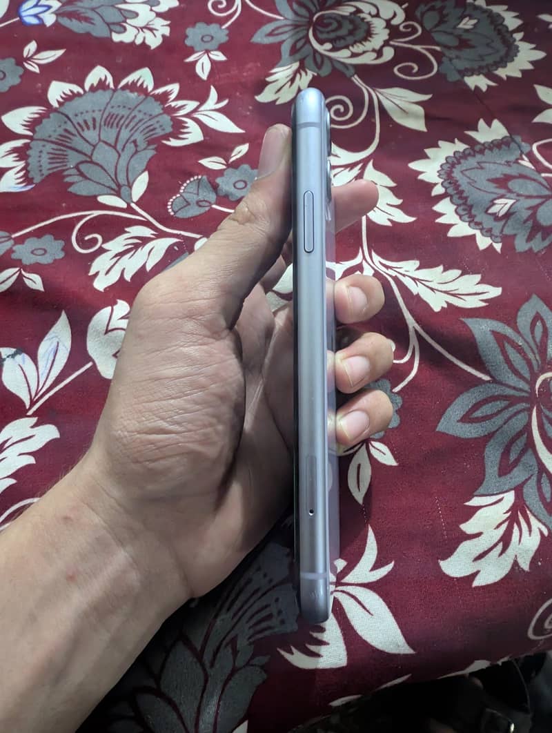 Apple iPhone 11 3