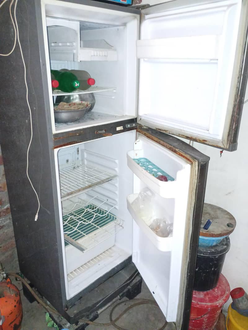 Medium Sized Refrigerator 1