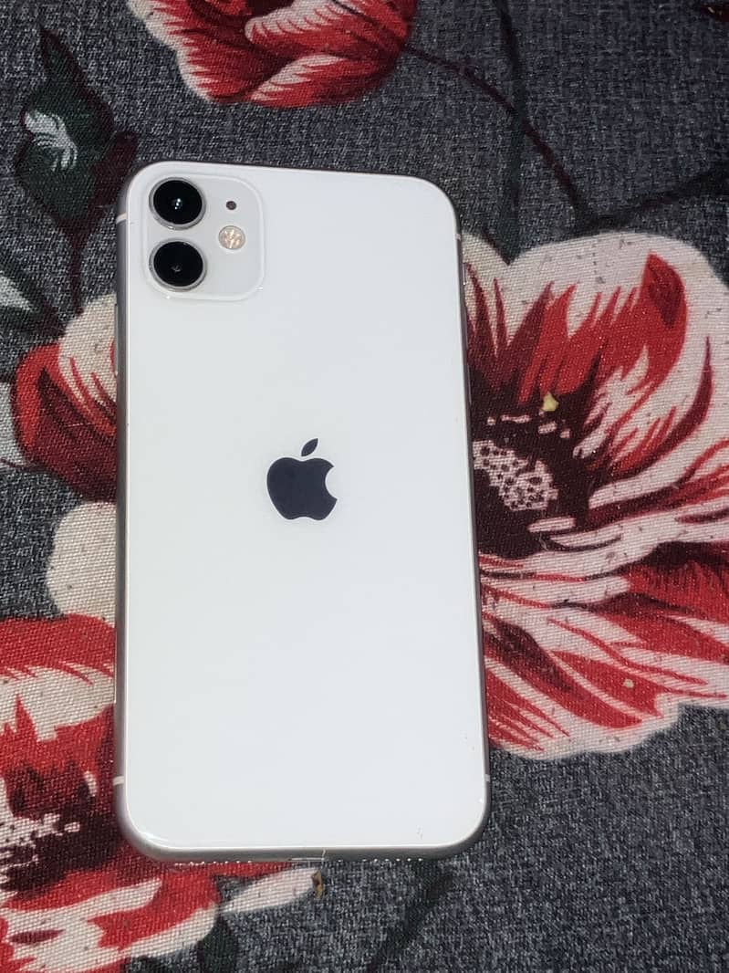 Apple iPhone 11 0