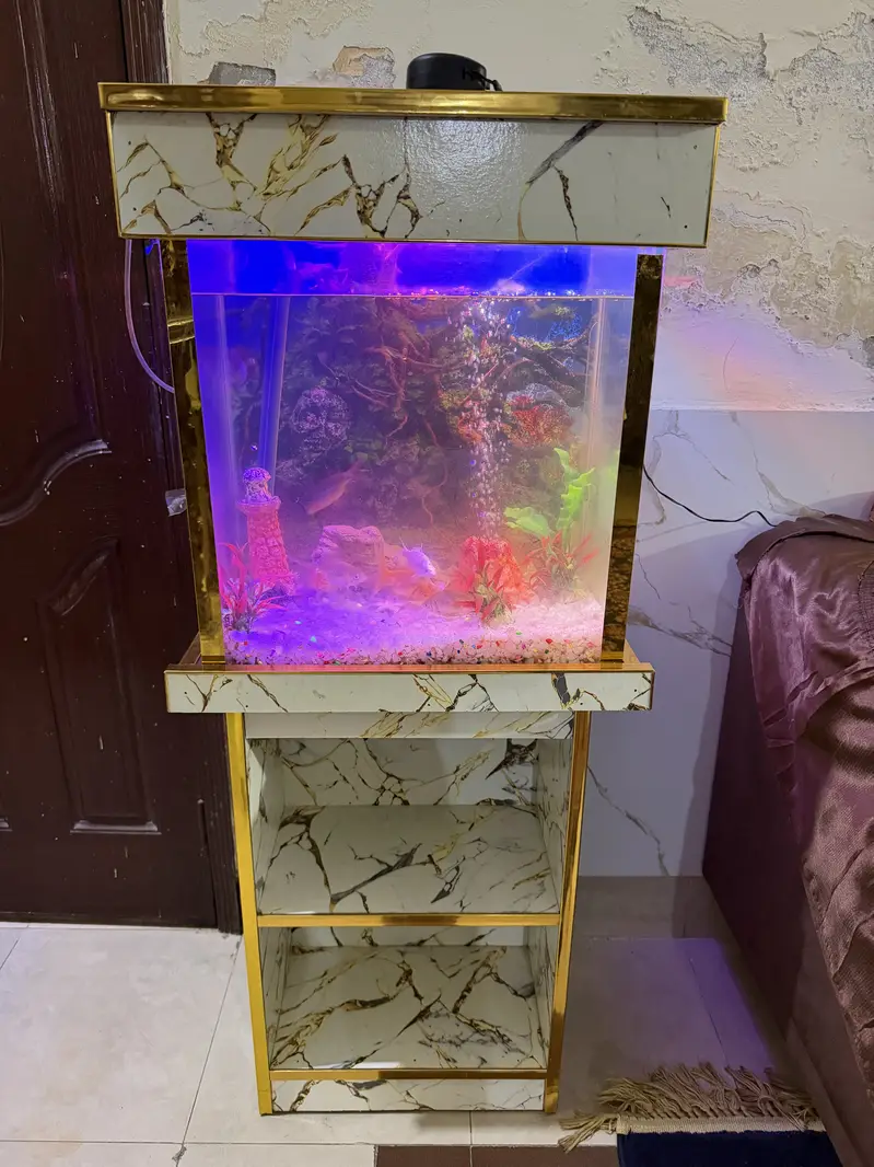 Fish Aquarium - Fish Tank