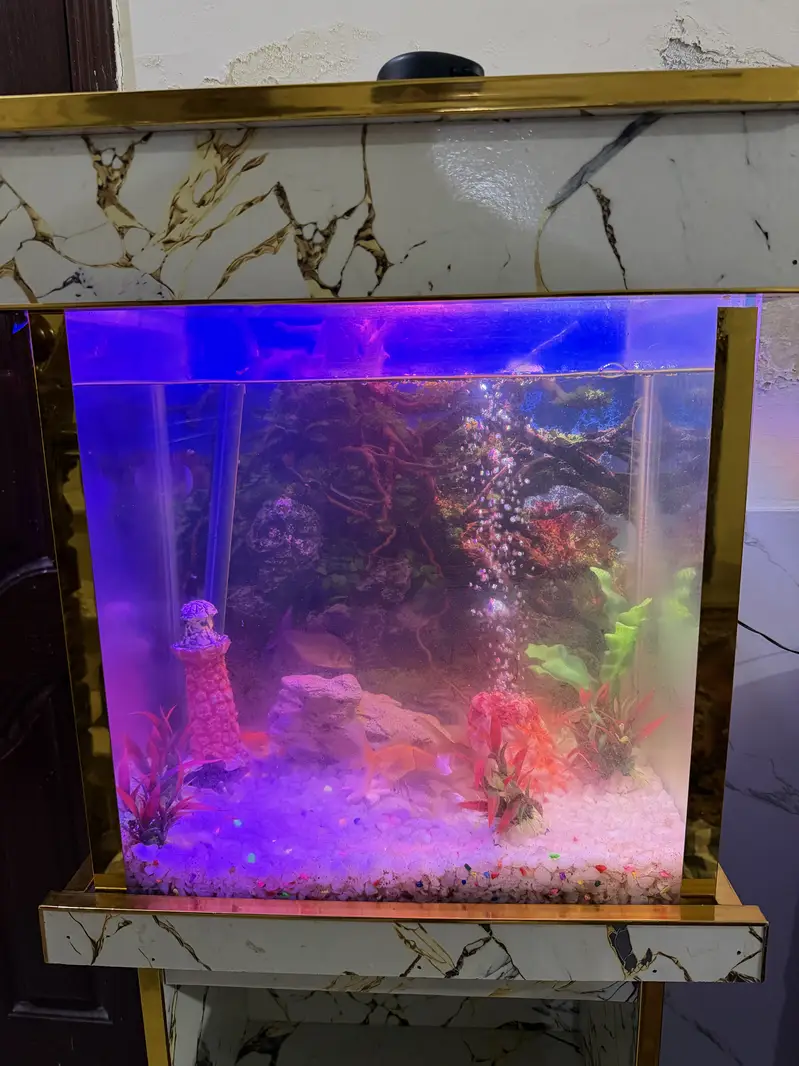 Fish Aquarium - Fish Tank — photo 2