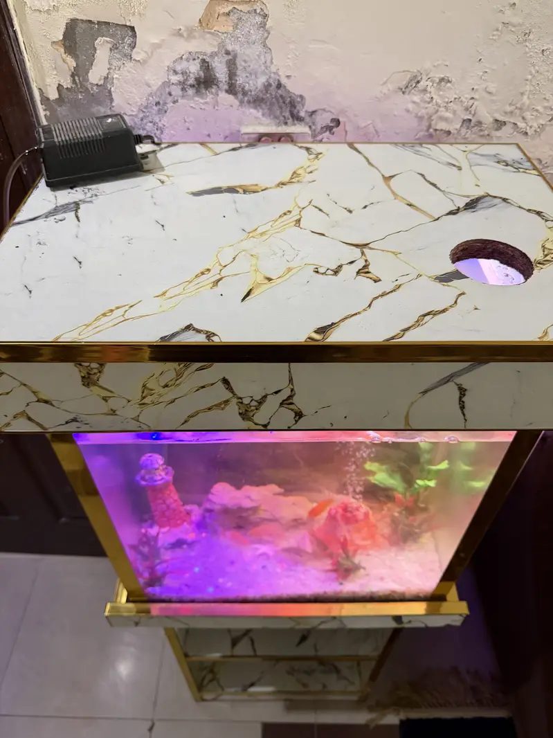 Fish Aquarium - Fish Tank — photo 3