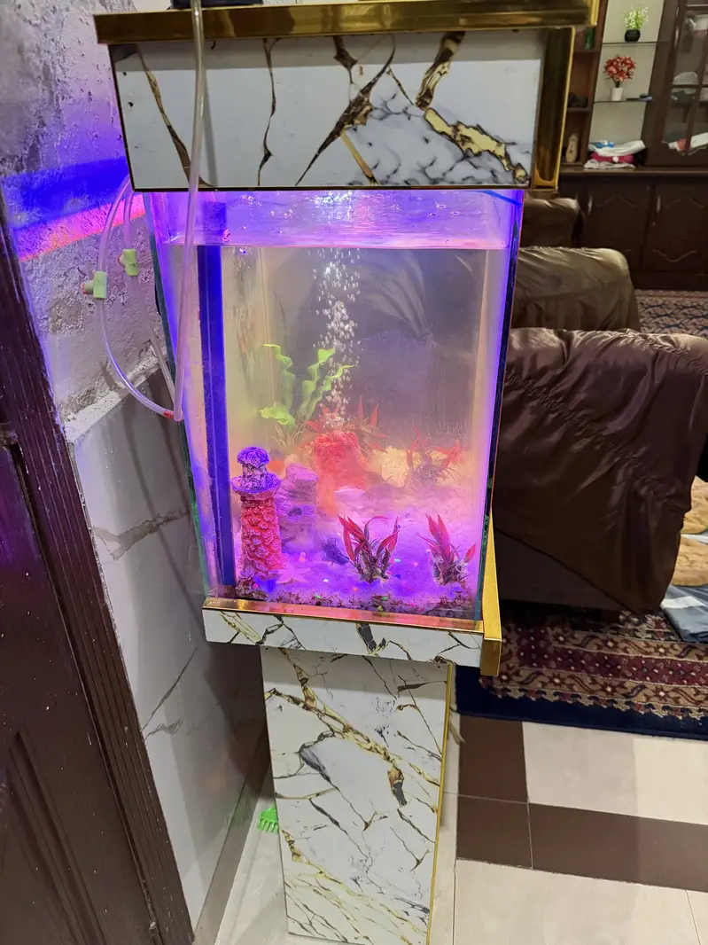 Fish Aquarium - Fish Tank — photo 4