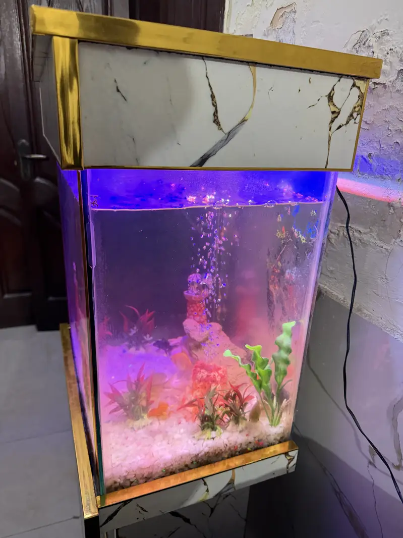 Fish Aquarium - Fish Tank — photo 5