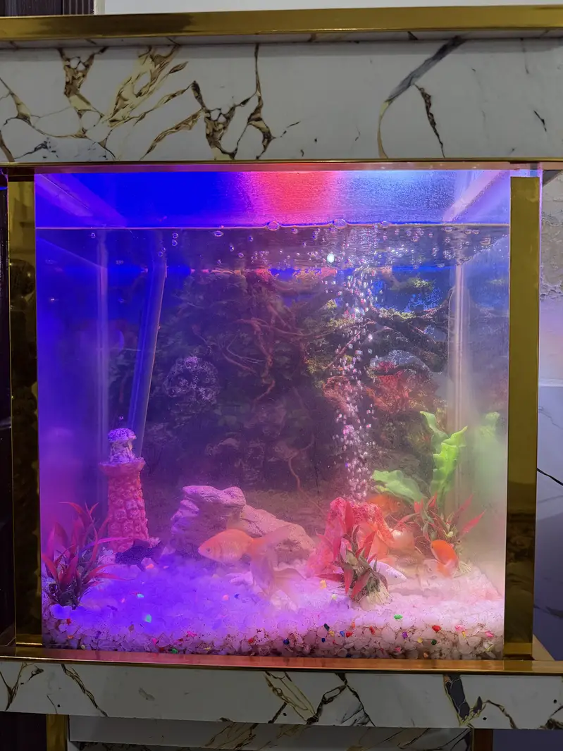 Fish Aquarium - Fish Tank — photo 6