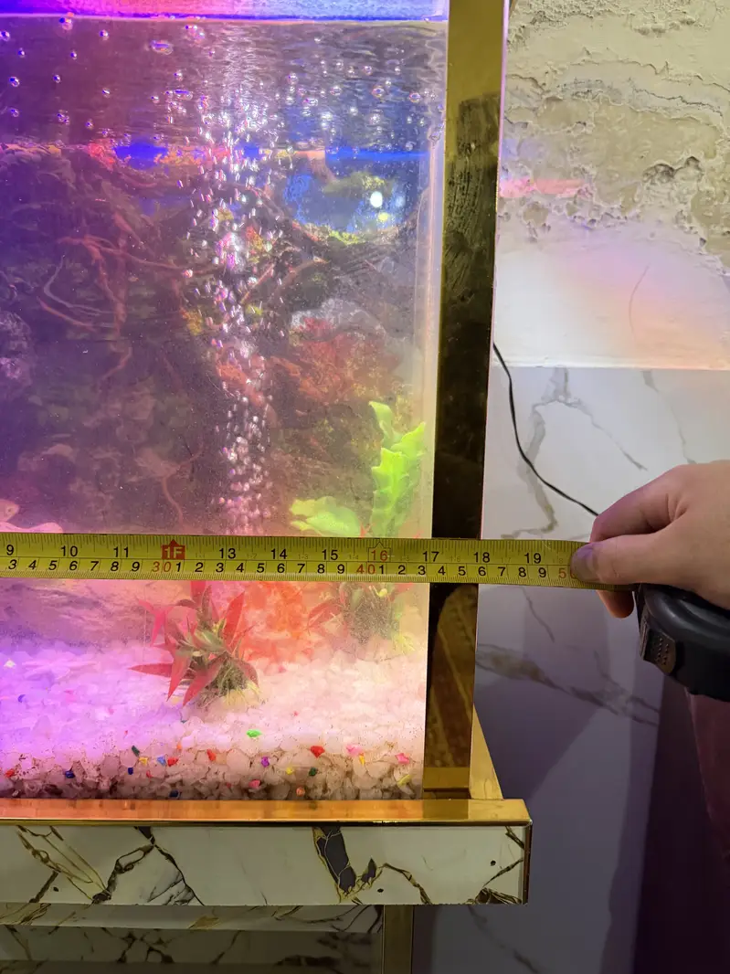 Fish Aquarium - Fish Tank — photo 8
