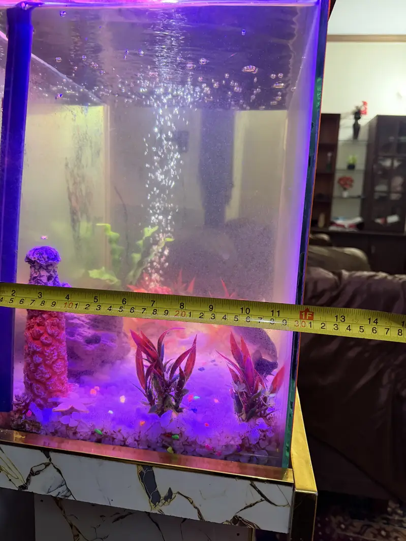 Fish Aquarium - Fish Tank — photo 9