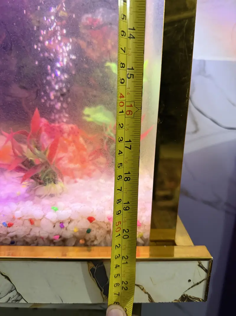 Fish Aquarium - Fish Tank — photo 10