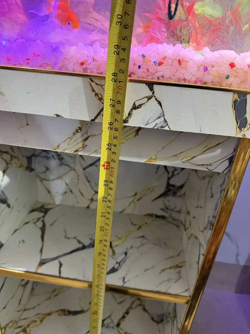 Fish Aquarium - Fish Tank — photo 11