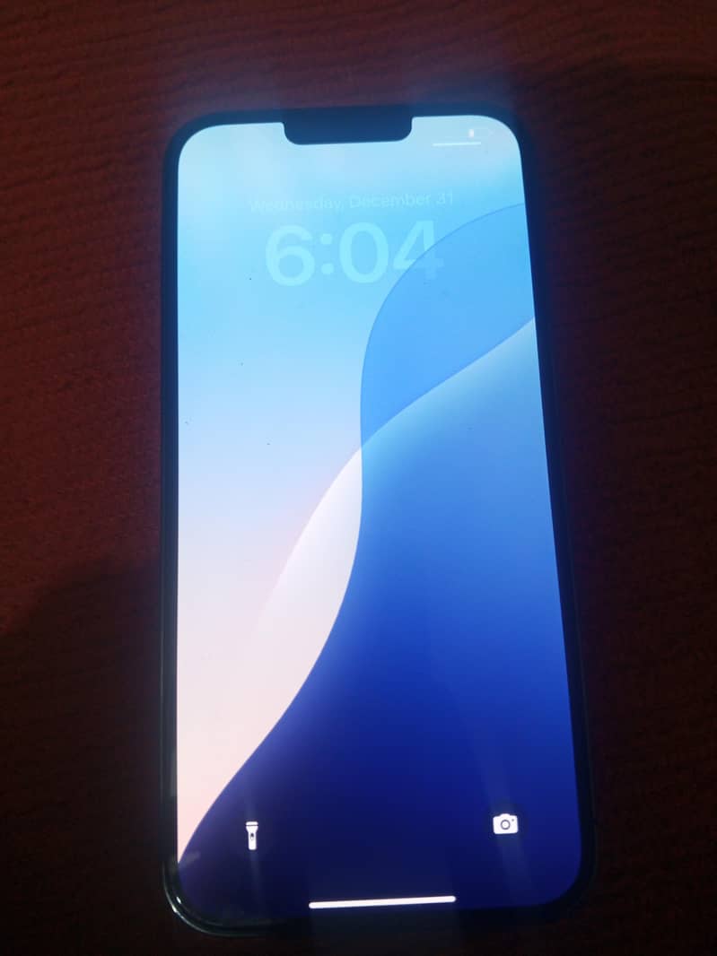 Apple iPhone 13 Pro Max 1