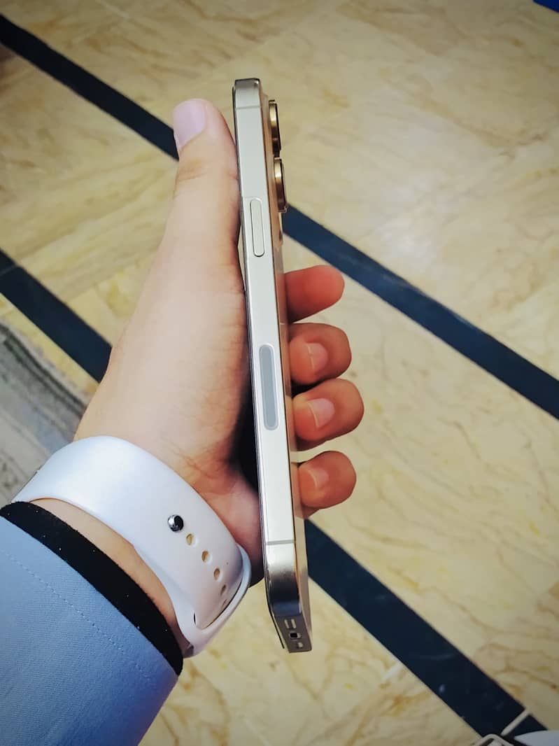 Apple iPhone 14 Pro Max 1