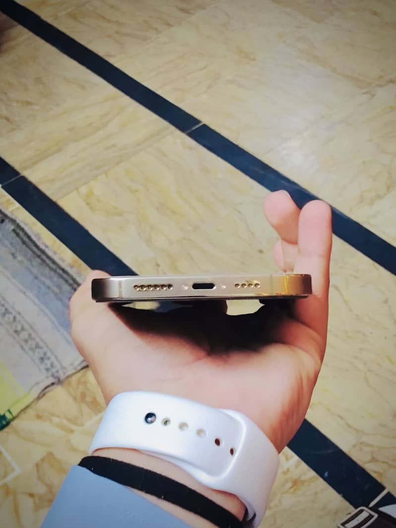 Apple iPhone 14 Pro Max 2