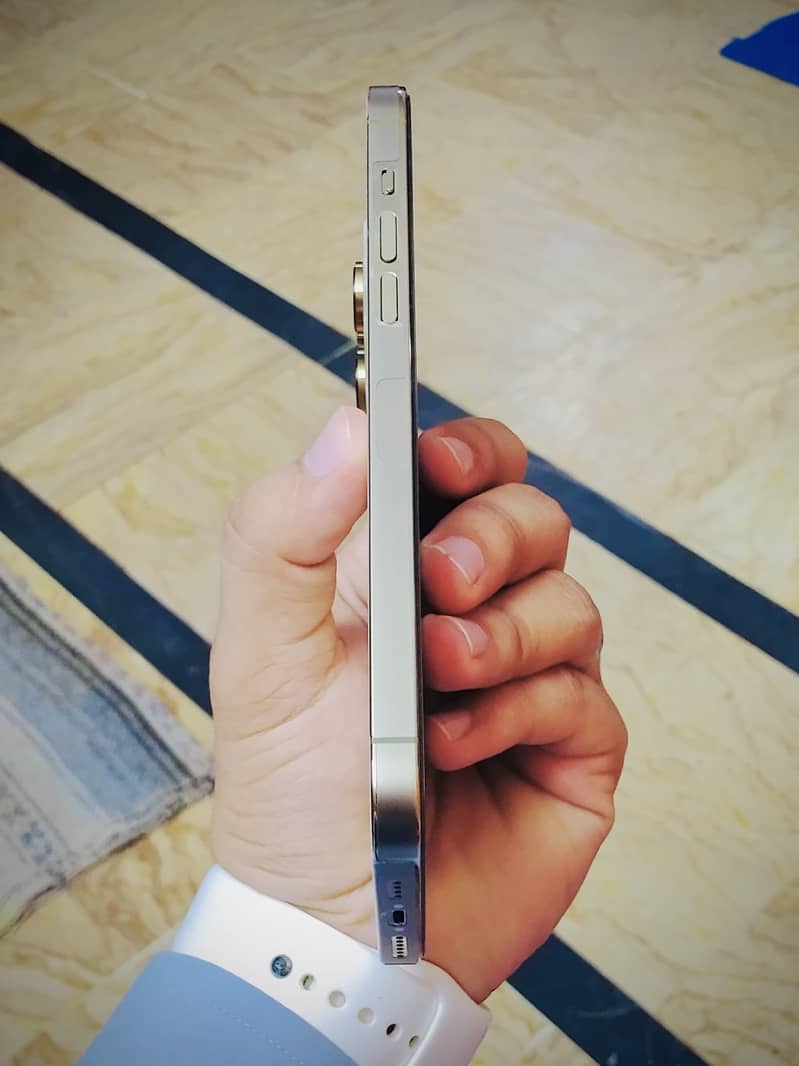 Apple iPhone 14 Pro Max 3