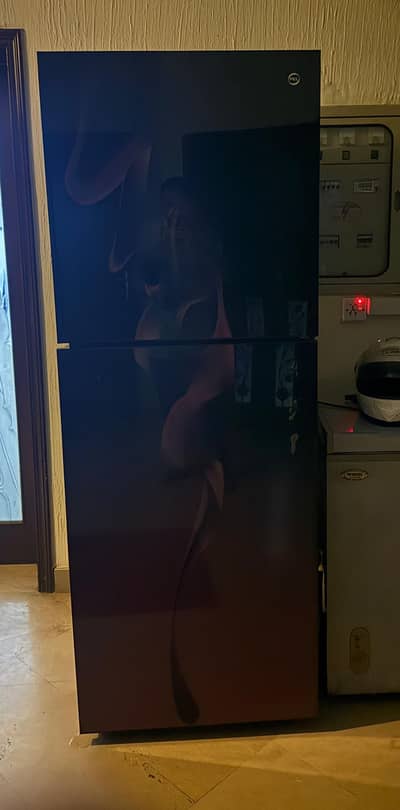 PEL Glass Door Refrigerator PRGD-22250  16 cubic feet - Non inverter.
