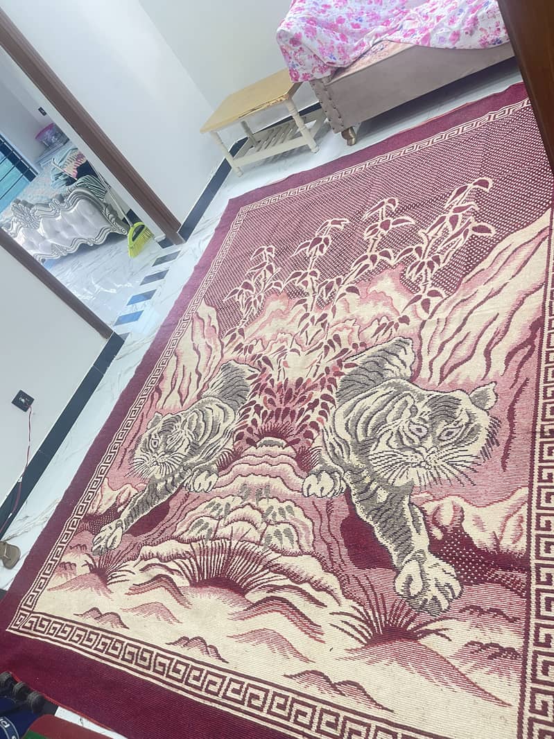 Carpet 0