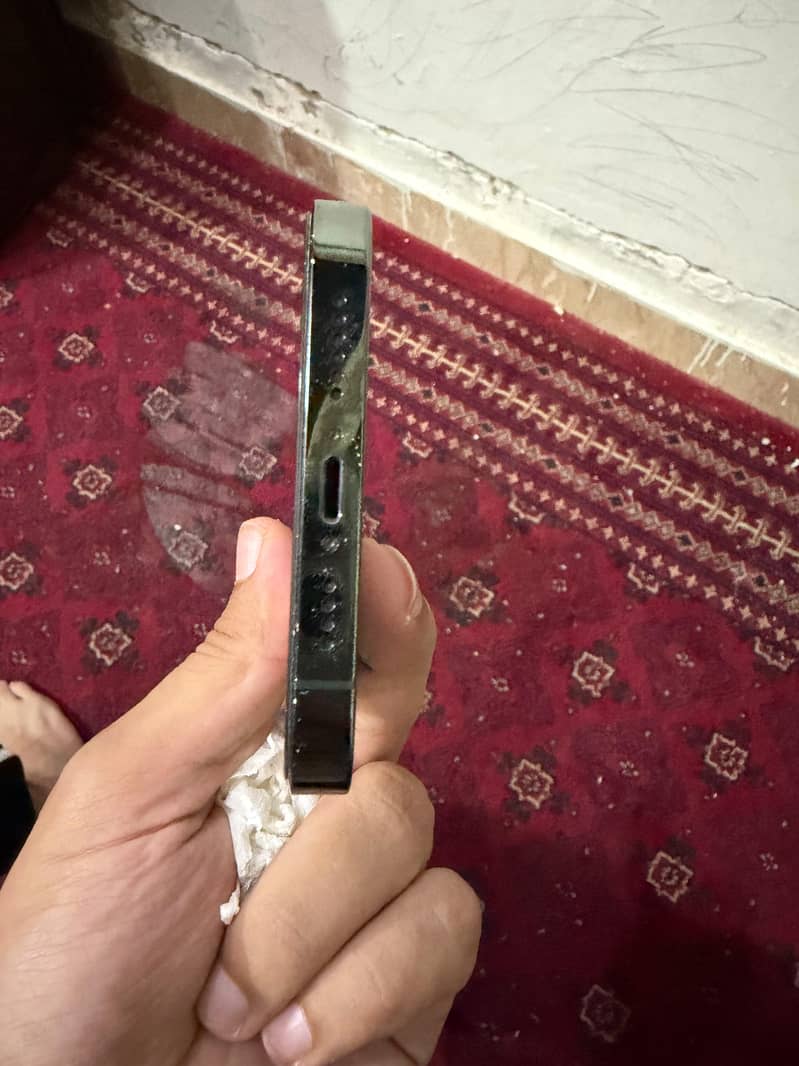Apple iPhone 13 Pro Max 4