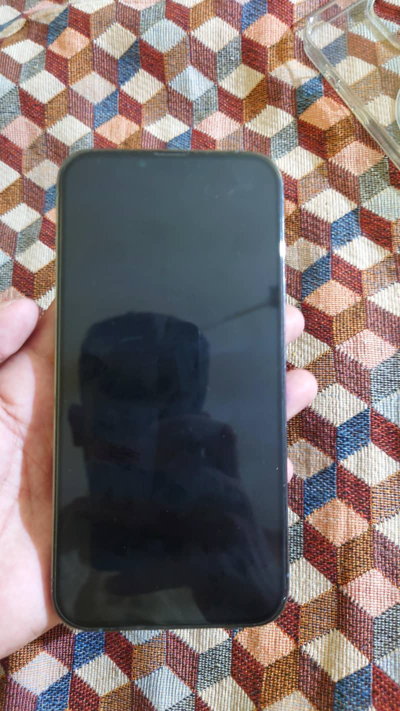 Apple iPhone 13 Pro Max 1
