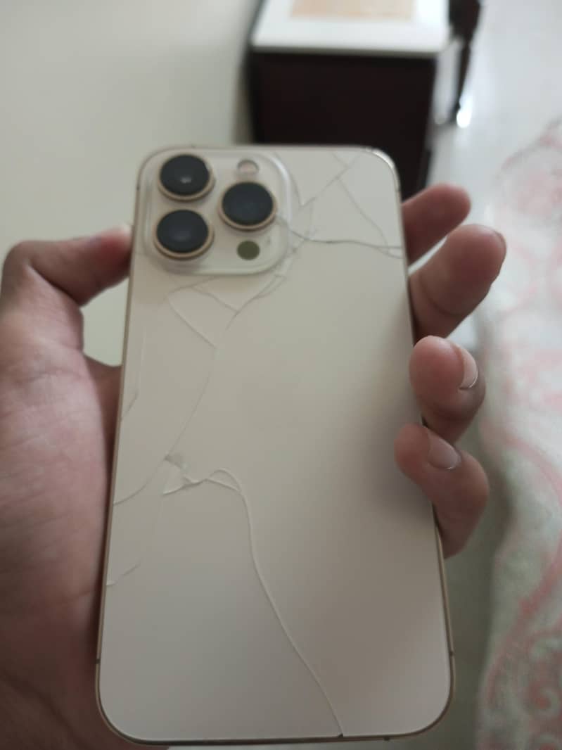 Apple iPhone 13 Pro 1