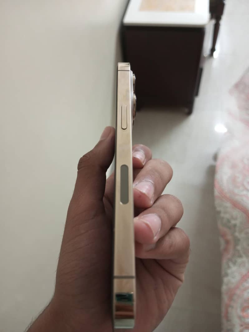 Apple iPhone 13 Pro 2