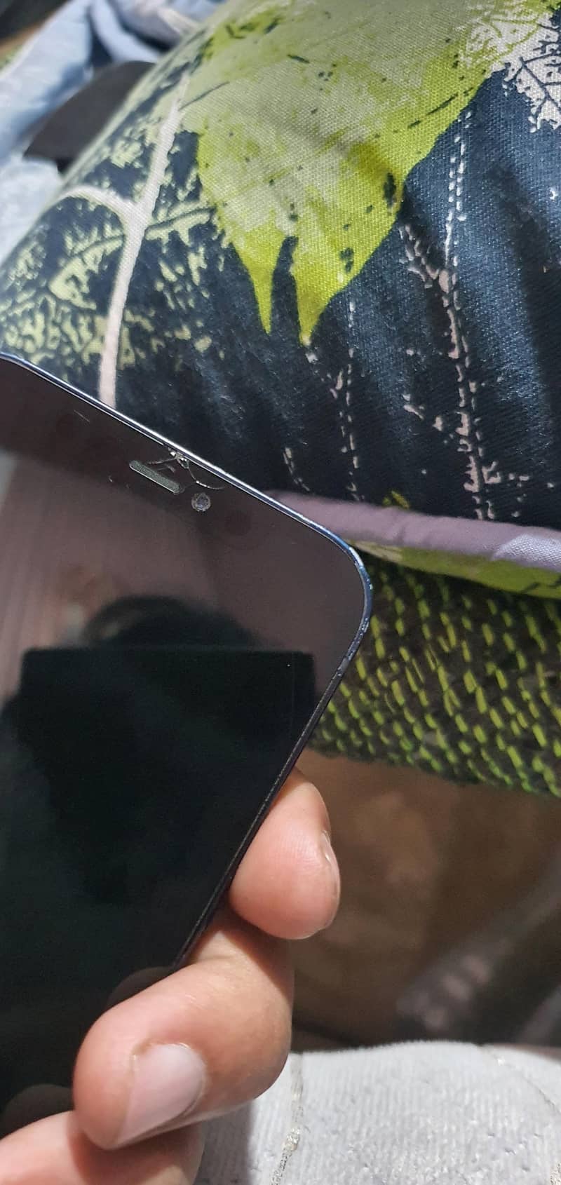 Apple iPhone 12 2