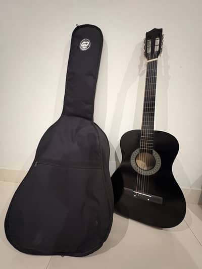 Acoustic guitar