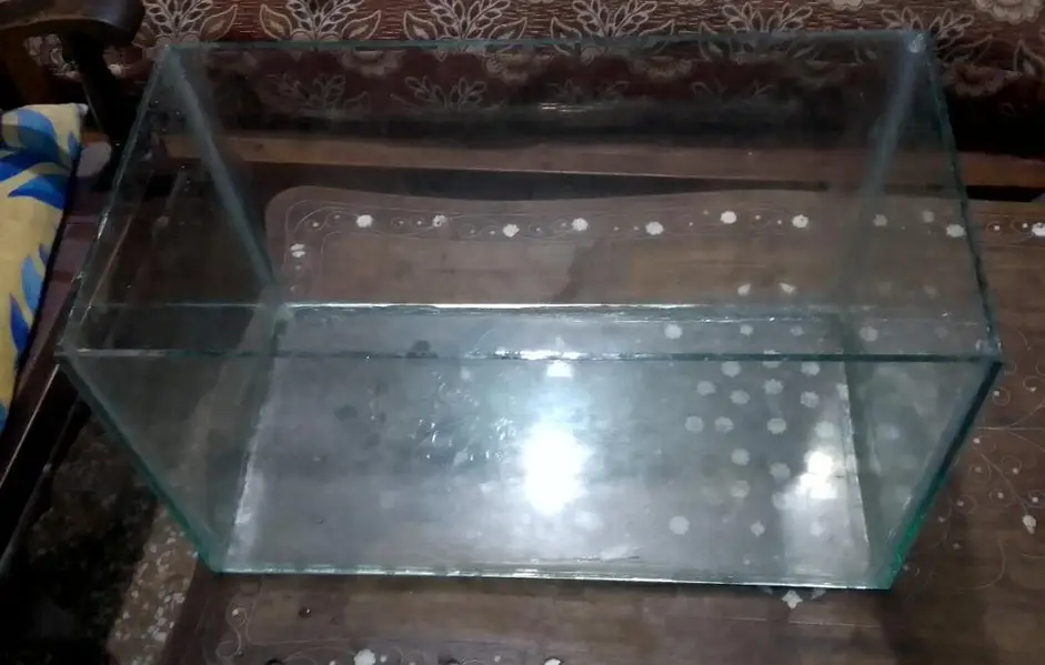 fish aquarium/03008807280 is number per call Karen — photo 2