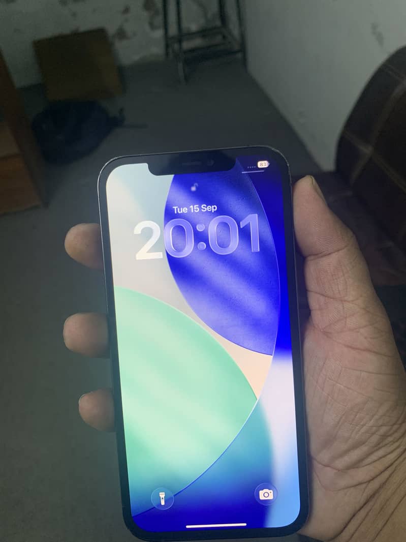 Apple iPhone 12 Pro Max 2