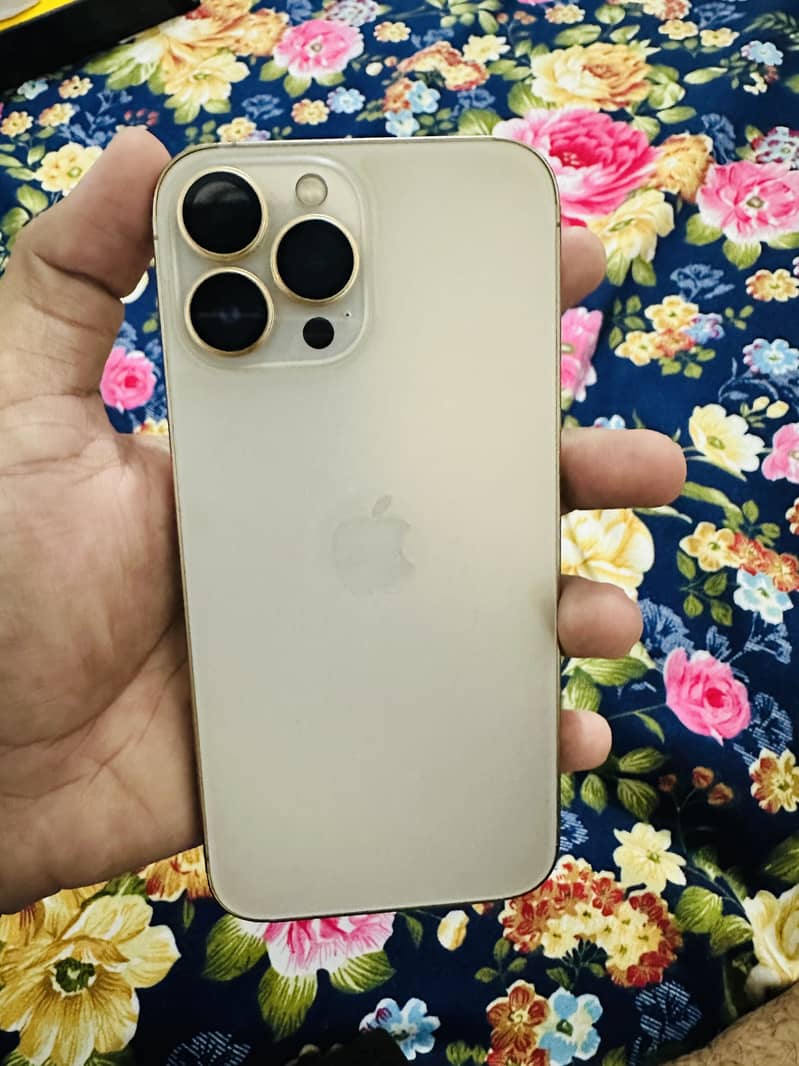 Apple iPhone 13 Pro Max 1