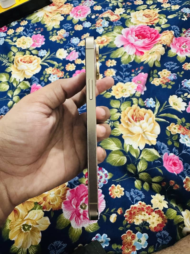 Apple iPhone 13 Pro Max 2