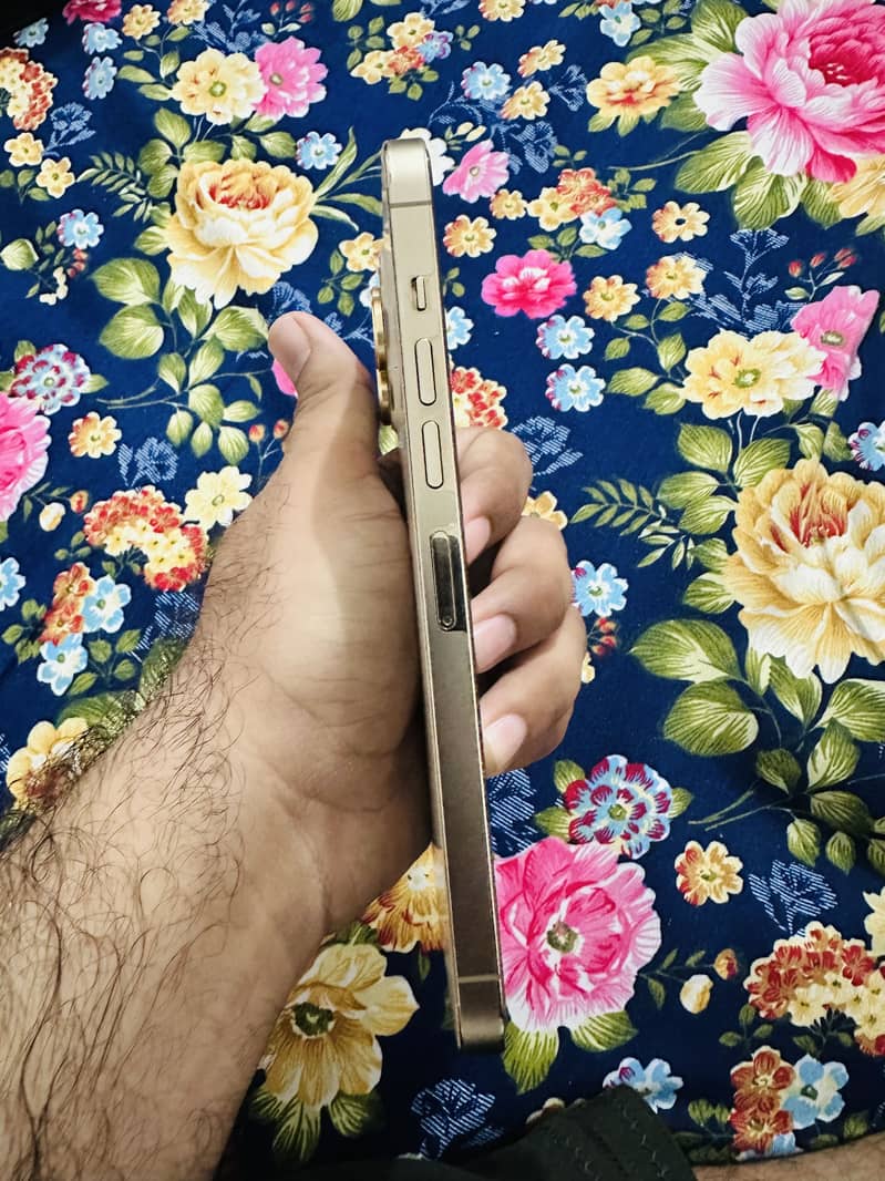 Apple iPhone 13 Pro Max 3