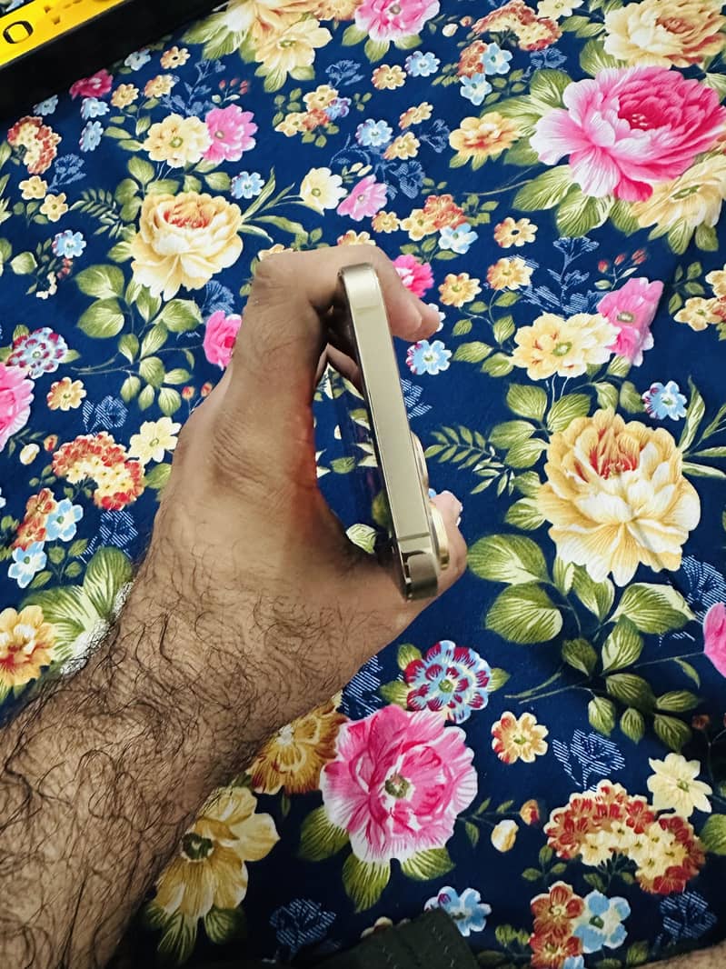 Apple iPhone 13 Pro Max 4