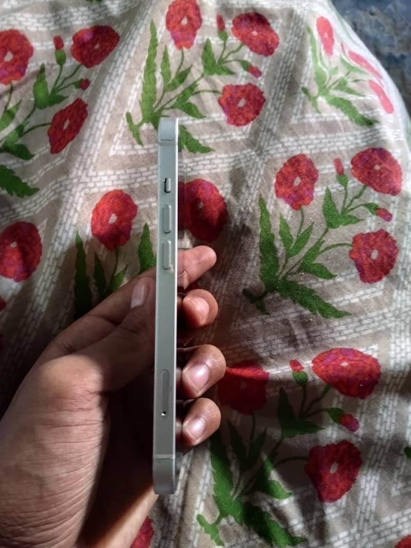 Apple iPhone 13 0