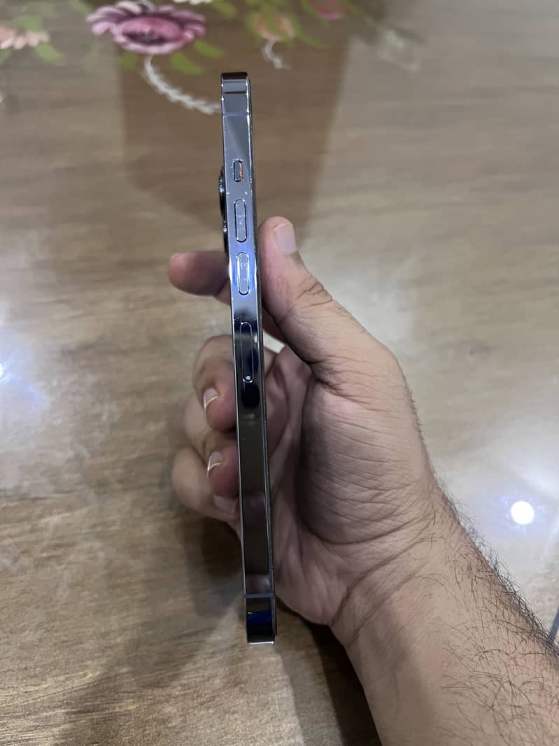 Apple iPhone 13 Pro Max 2