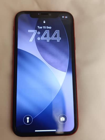 Apple iPhone 11 mdm
