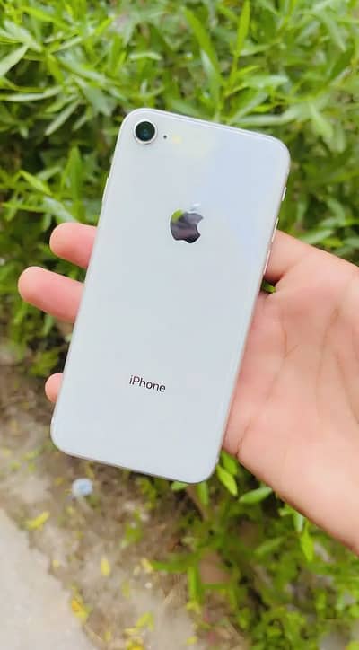 iPhone 8 - 64gb - (Condition 10/10) All Ok - Official PTA Approved