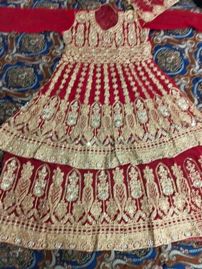 lehnga / bridal lehnga