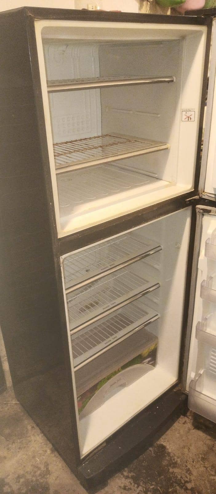 frige 1