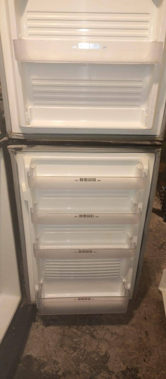 frige 2