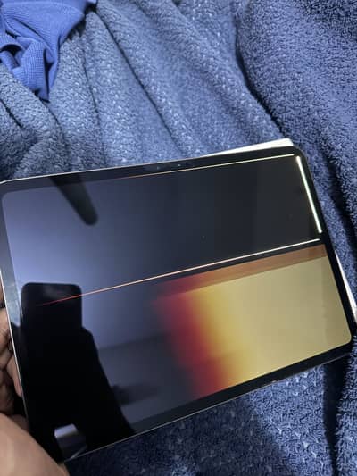 Ipad Pro 11 inch M4 Display Damaged