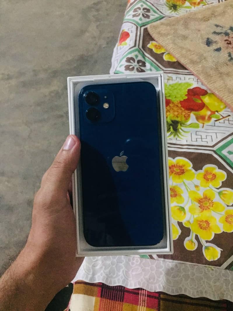 Apple iPhone 12 2
