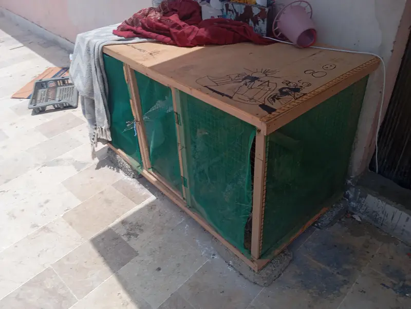 2 Vip Wooden Cages — photo 7