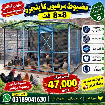 8×8 فٹ مضبوط پولٹری پنجرہ برائے فروخت