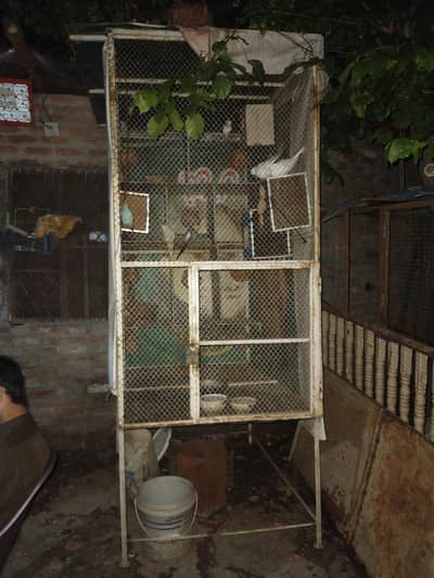 Best Cage and total 15 different type of birds
