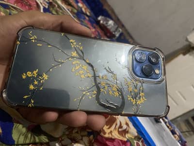 Apple iPhone 12 Pro Max