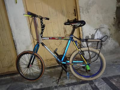 Phoenix Cycle 20number