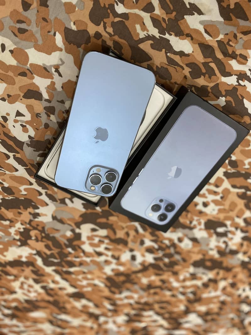 Apple iPhone 13 Pro Max 1