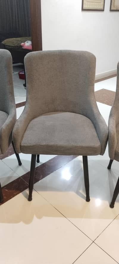 6 Dining Chairs